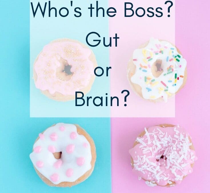 Who’s the Boss – Gut or Brain?