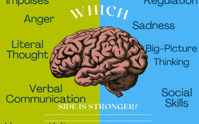 Right vs Left Brain : Tell Me The Truth!
