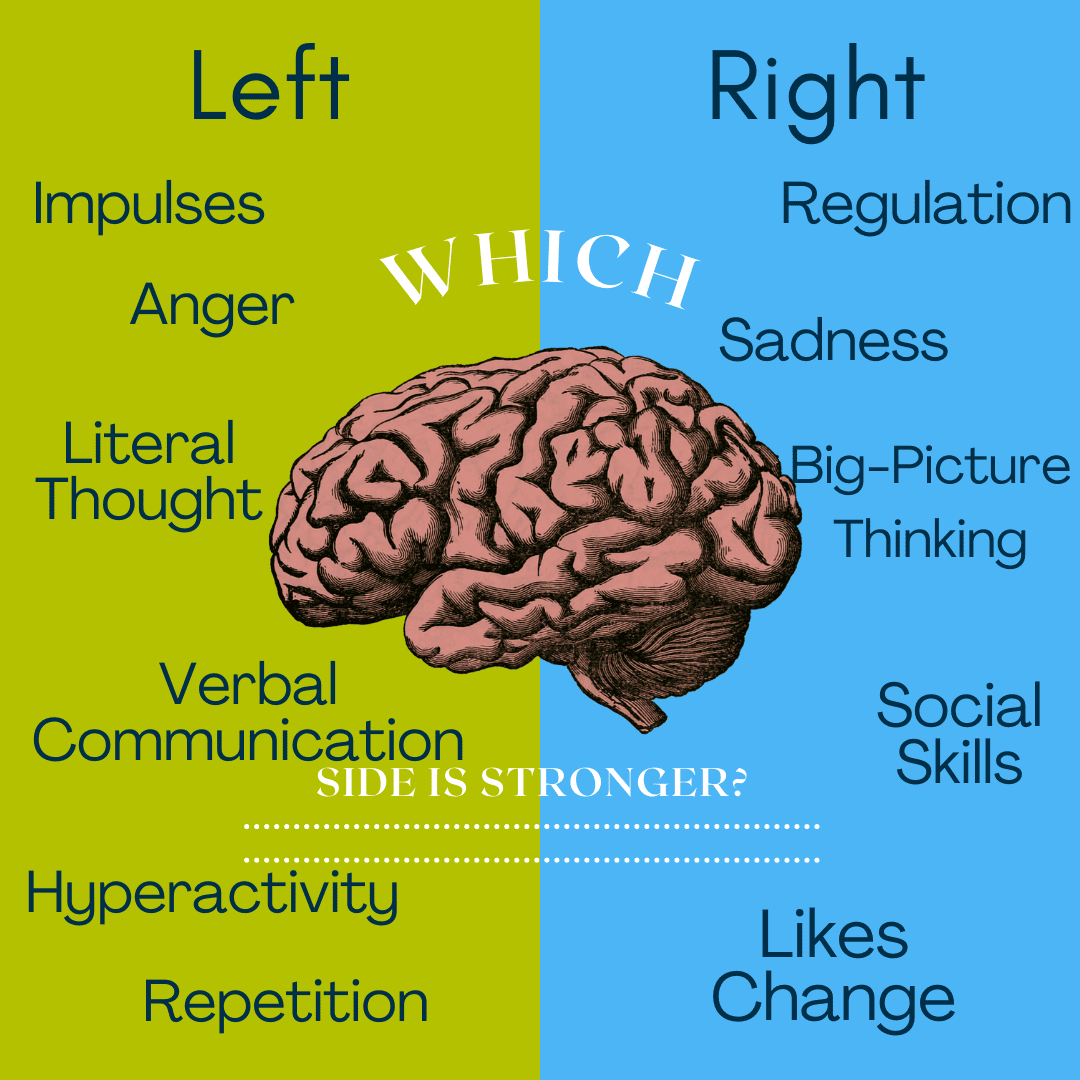 Right Vs Left Brain Tell Me The Truth Delta Genesis